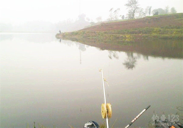 Traditional Chinese Taixian Fishing Method for Carp: A Complete Guide to Setup, Bait, and Technique Traditional Chinese Taixian Fishing Method for Carp: A Complete Guide to Setup, Bait, and Technique
