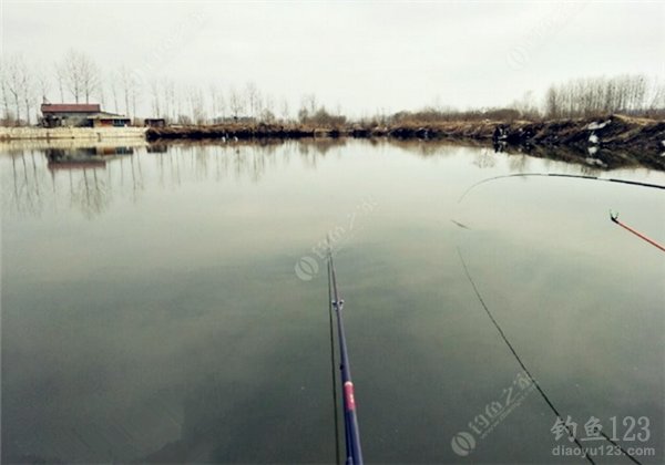 Winter Fishing Tips: 4 Essential Rules to Never Go Home Empty-Handed