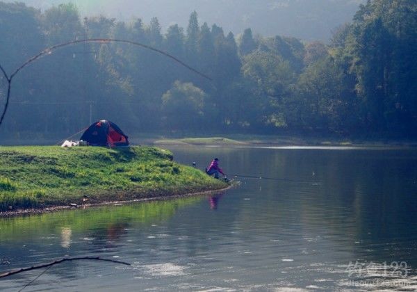 Master These Fishing Tips to Skyrocket Your Catch Rate Instantly!