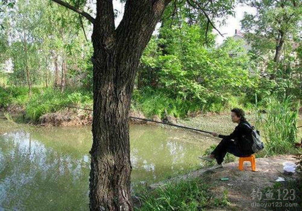 Summer Fishing Made Easy: 4 Simple Steps to a Full Cooler!