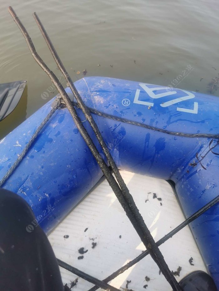 Pound-Sized Crucian Carp? Child’s Play! The Monster Fish I’d Never Seen in My Life Was the Real Star Pound-Sized Crucian Carp? Child’s Play! The Monster Fish I’d Never Seen in My Life Was the Real Star
