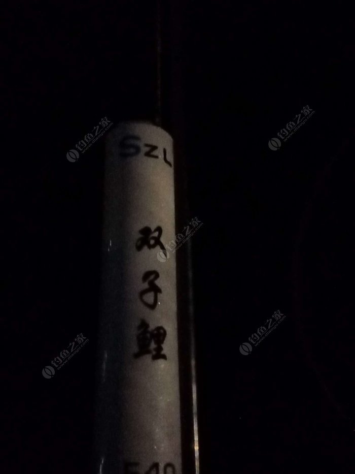 Gemini Carp Inaugural Fishing Trip: A Lucky Big Carp Catch & Night Fishing Adventure