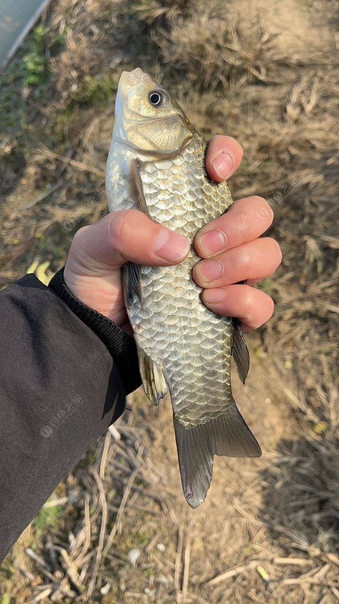 Air Force Base Fishing: I Didn’t “Take Off,” But Became the Envy of Fellow “Pilots”