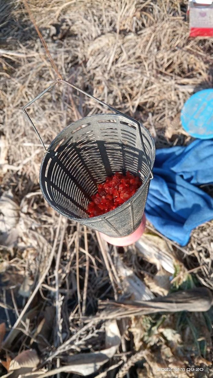 Winter Fishing: Don’t Rush Your Spot! Why Last-Minute Baiting Often Fails