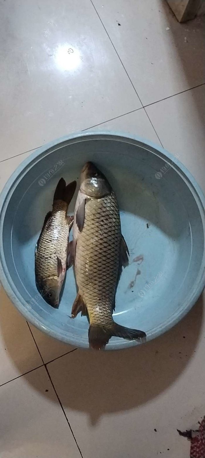 River Fishing: Surprises and Unexpected Twists (My Epic Day on the Big River)
