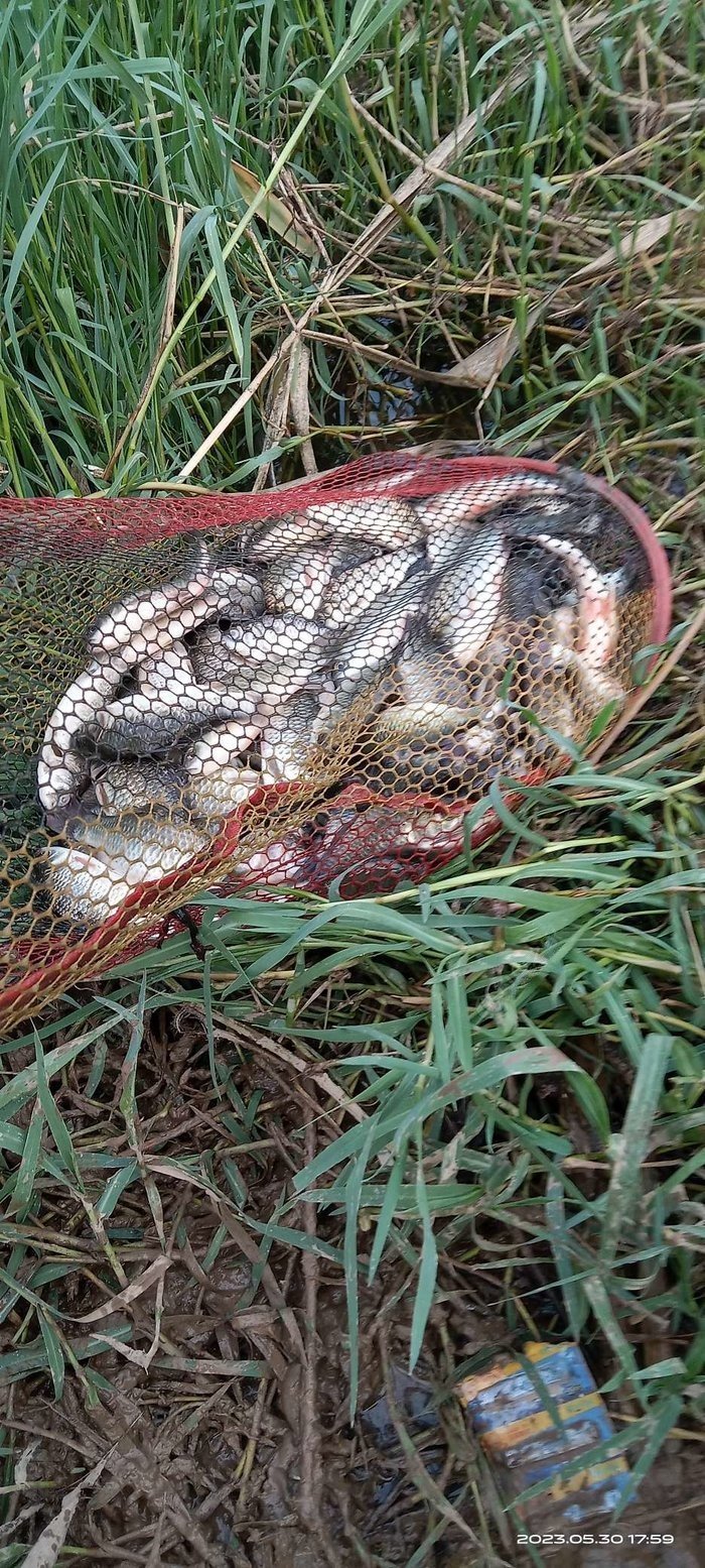 618 Fishing Tips: How Bottom Conditions Affect Your Baiting Strategy for Faster Bites