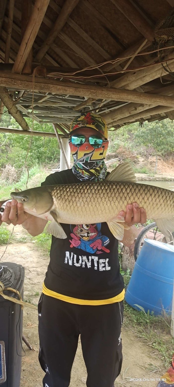 Learn Without Limits: Mastering the Art of Catching Silver Carp and Bighead Carp