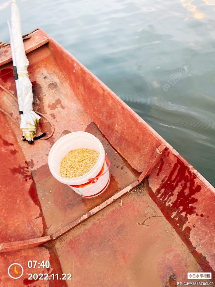 Nov 22, 2024: Small Whitebait Are Perfect Fishing Trip Snacks! A Day of Near-Misses and Delicious Camp Eats