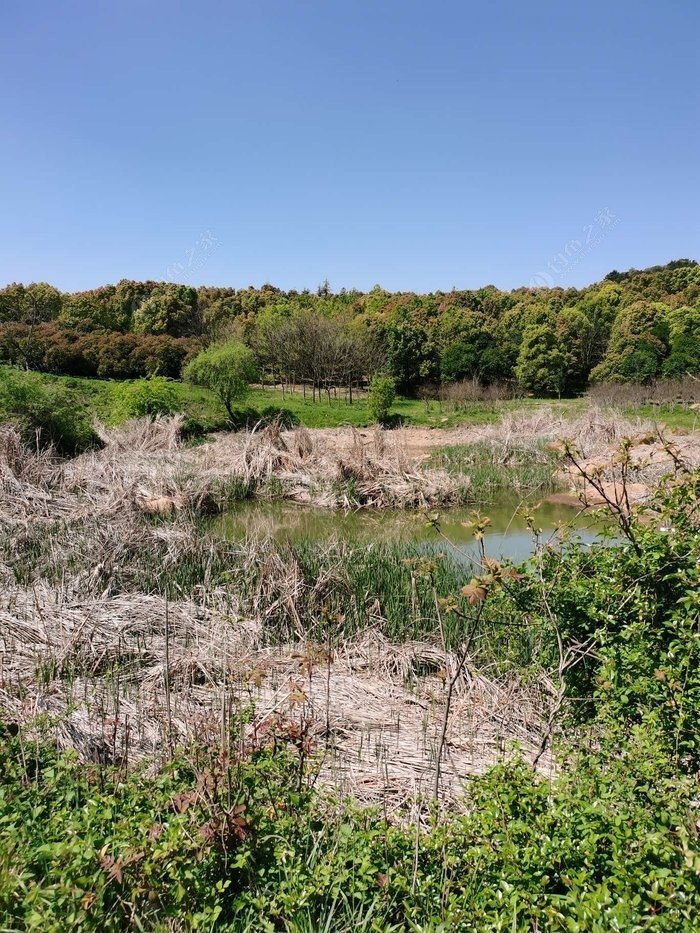 Hidden Fishing Spot: A Small but Pleasant Surprise for Anglers