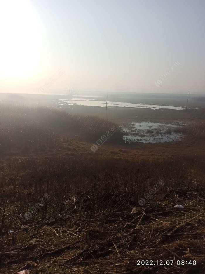 A Different Kind of Fishing Day: Winter Carp Tactics on the Quanhe Tributary