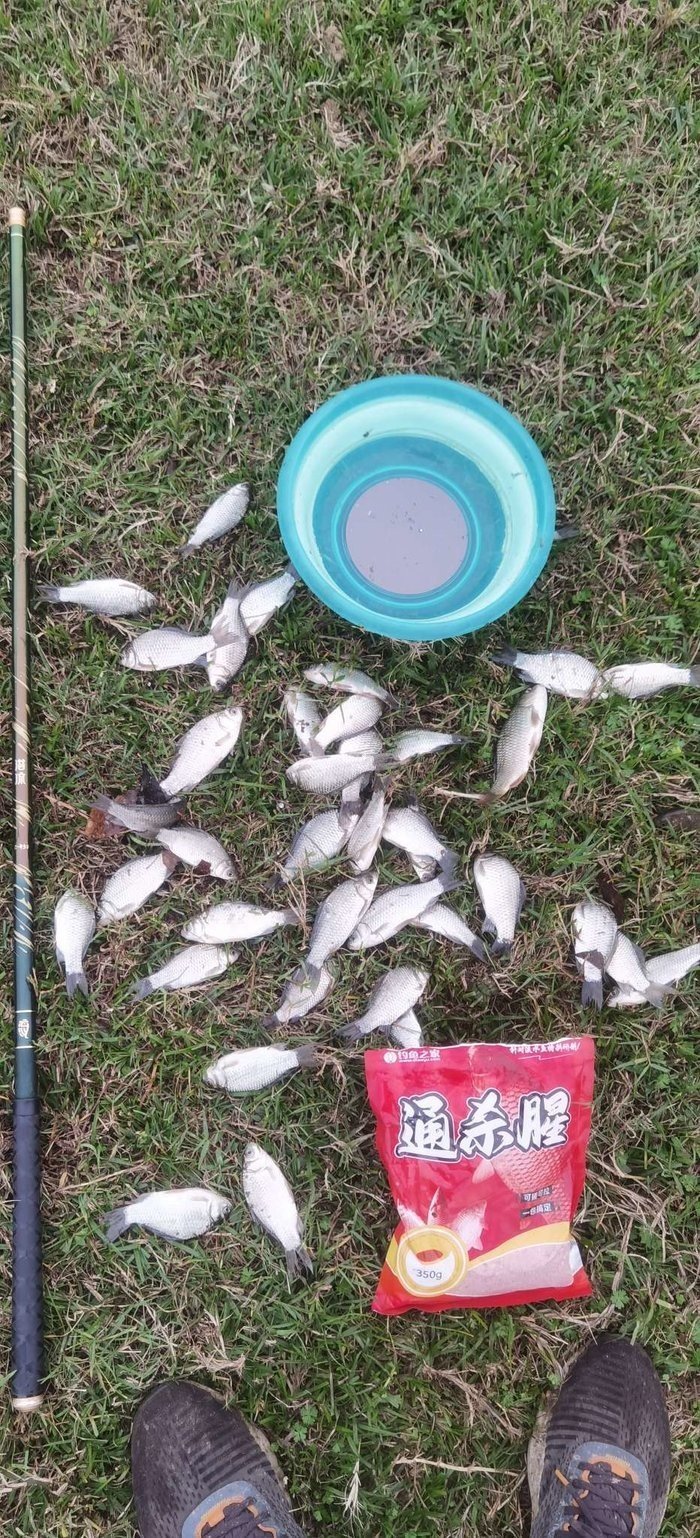 Perfect Conditions, Another Epic Fishing Haul: My Winter Fishing Success Story