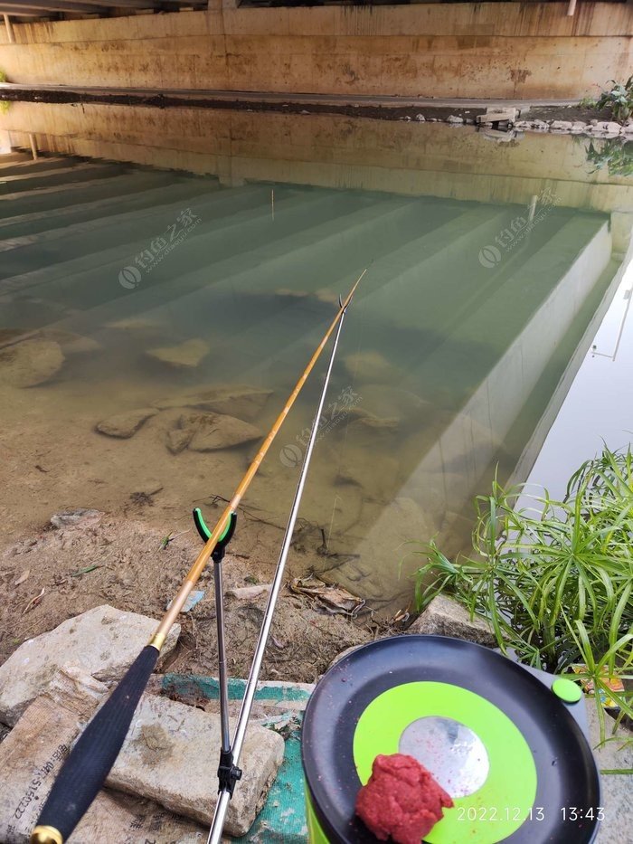 How All-Purpose Fish Attractant Bait Made Me the Most Popular Angler on the Entire River