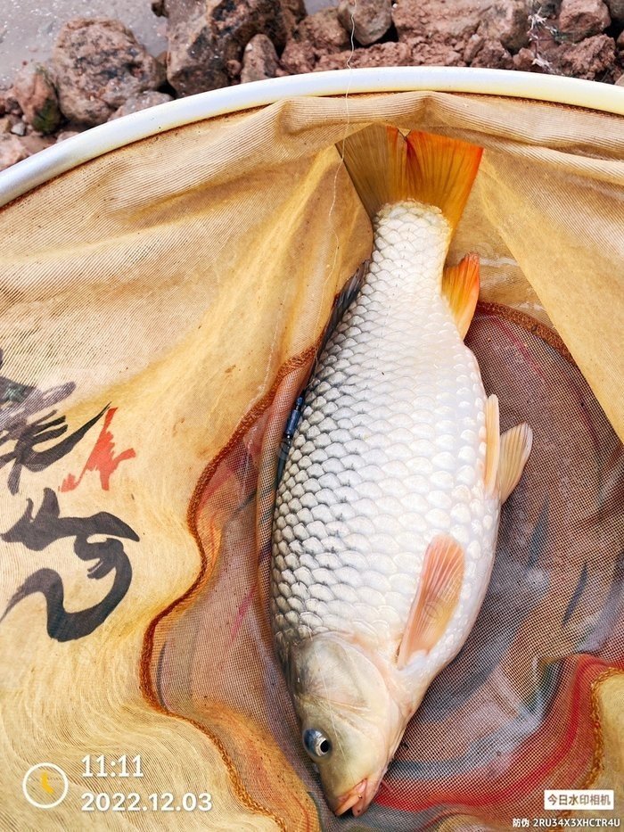 My Most “Loved” Day at Shengzhong Lake (Dec 3, 2024)