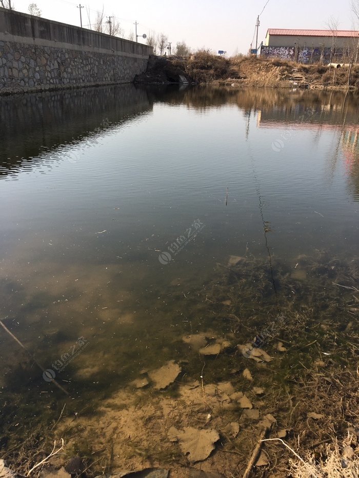 Angling Adventure on the Grand Canal’s Tiny Tributary: A Relaxing Winter Fishing Trip
