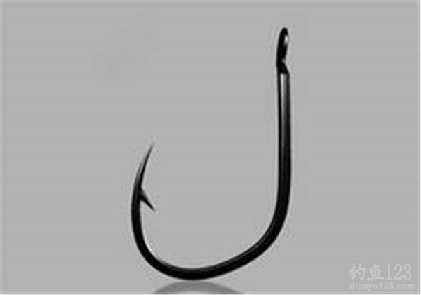 How to Choose Fishing Rigs and Bait Recipes for Wild Fishing How to Choose Fishing Rigs and Bait Recipes for Wild Fishing