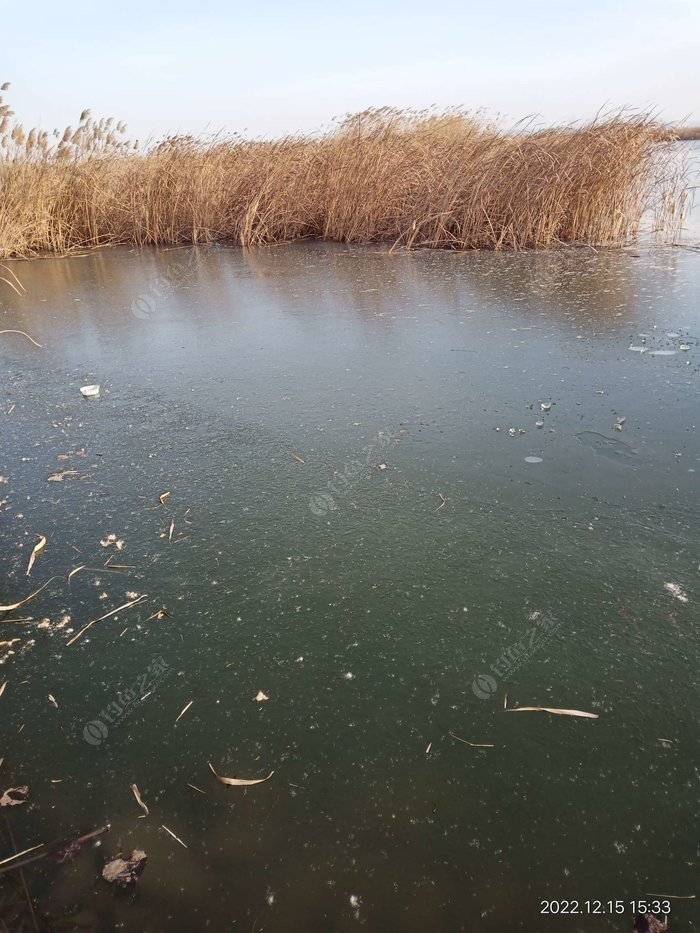 Sunny Day Fishing Fail (and Last-Minute Win): My Chaotic Afternoon on the Water