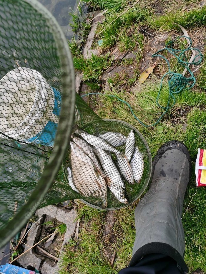 Thought I’d Come Home Empty-Handed, But This Fishing Trip Was a Total Win!