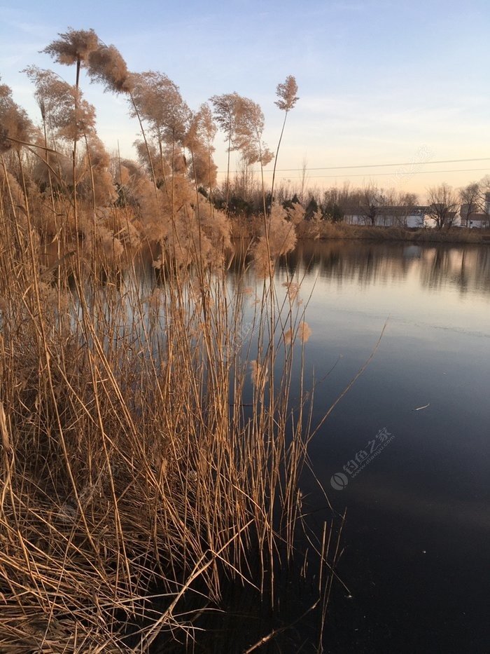 Leisure Fishing at Gecun Pond: My Secret Spot, Epic Catches, and All the Chaos In Between