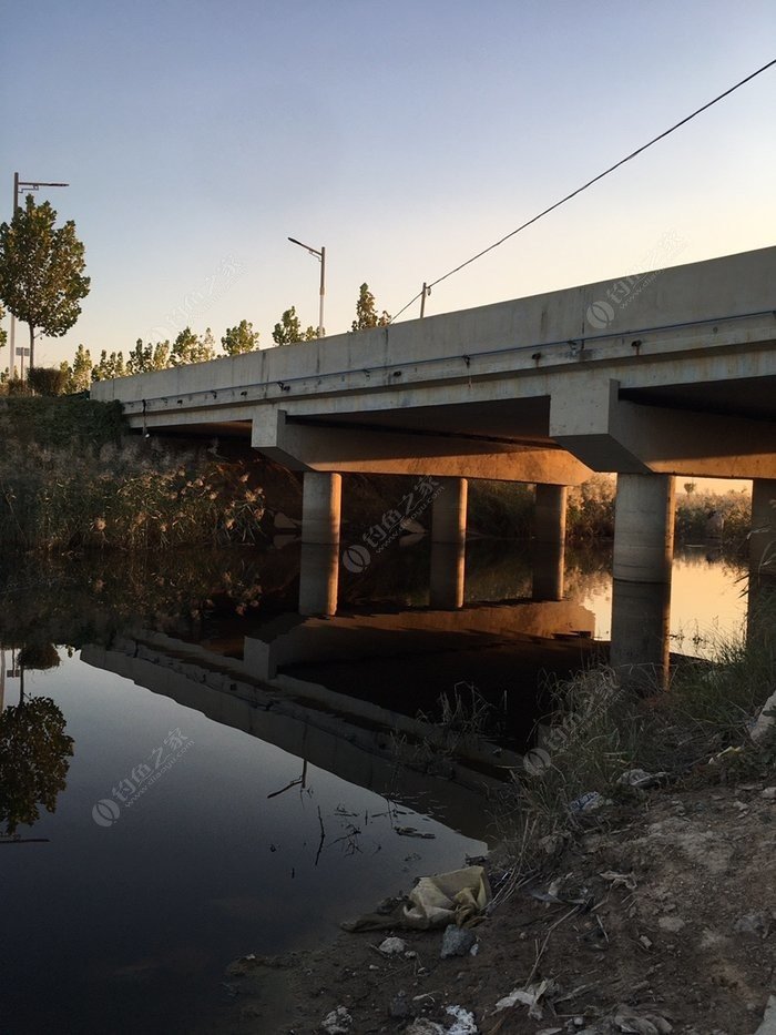 Carp Fishing on the Beijing-Hangzhou Grand Canal: A November Day Trip in Gucheng County