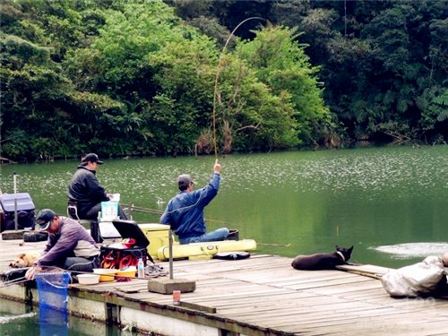 Black Pit Mixed Species Fishing: Bait Recipes, Tactics, and Real-World Tips