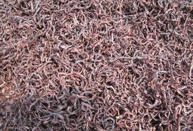 How to Make Earthworm Powder for Fishing: The Ultimate DIY Fishing Attractant Guide