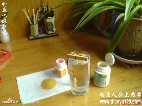 Sticky Powder & Millet Fishing Rig: Catch from Using the Rig