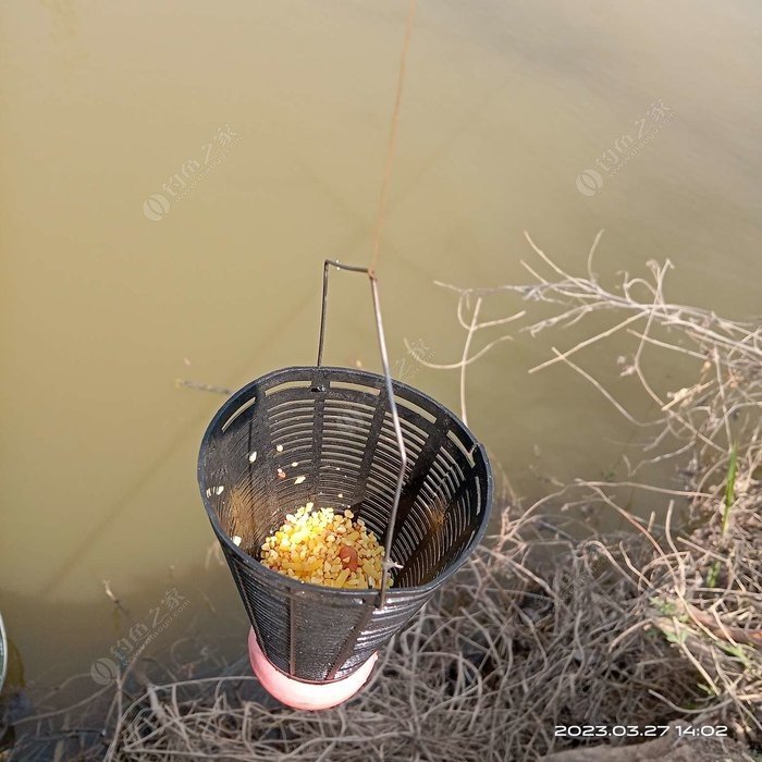 Homemade wine rice with bait additives for spawning fish
