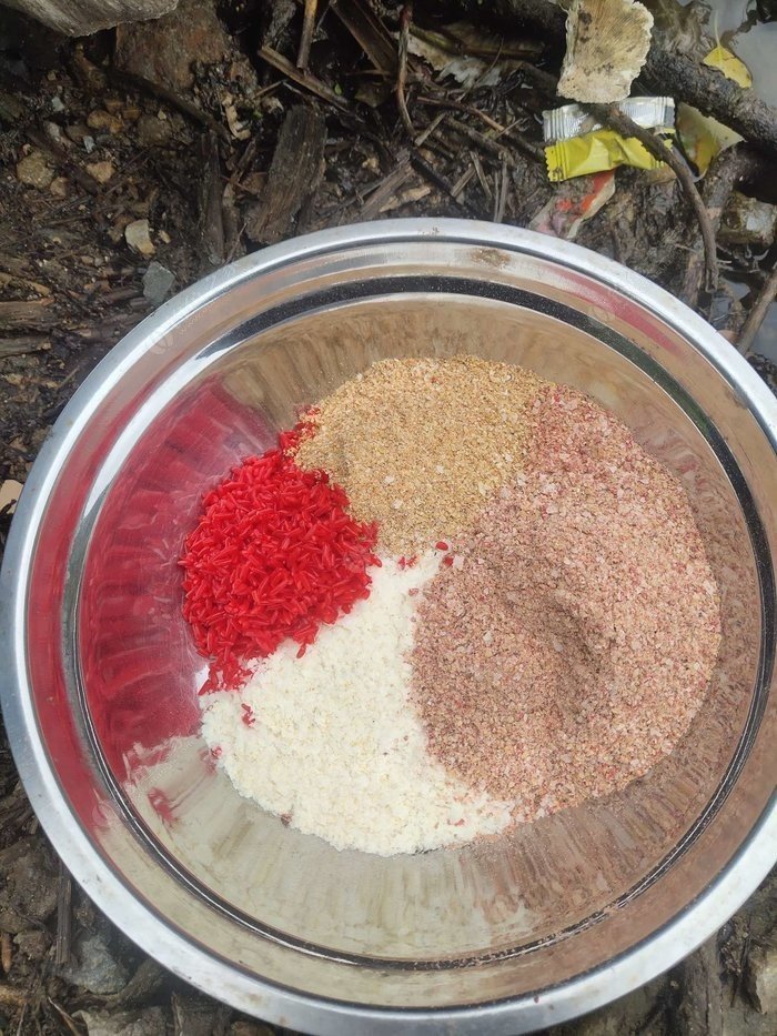 Why Do Fishing Baits from the Same Fishing Mall Yield Different Results? Let’s Break It Down!