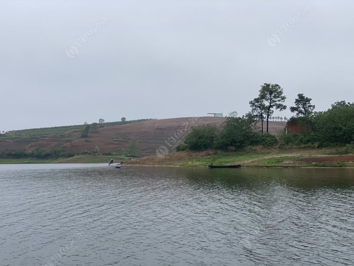 Unexpected Fishing Haul at Xionghe Reservoir: A Rainy Day Surprise