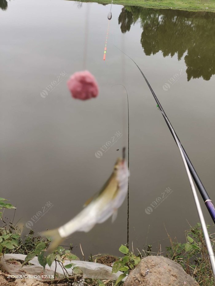 The river at lunchtime—sunny, but no carp bites
