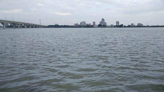 Night Fishing on Han River: Unlocking the Yellow Catfish (Huang Gu) for the First Time