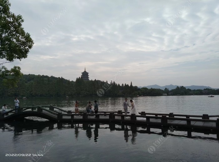 What’s It Like Catching 3 Carp in 1 Minute? My Unbelievable Fishing Trip at Wenyu River