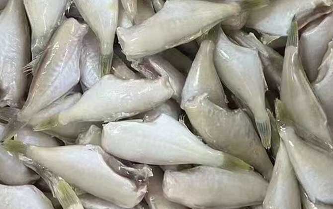Life Habits of the Hao Er Yu Fish