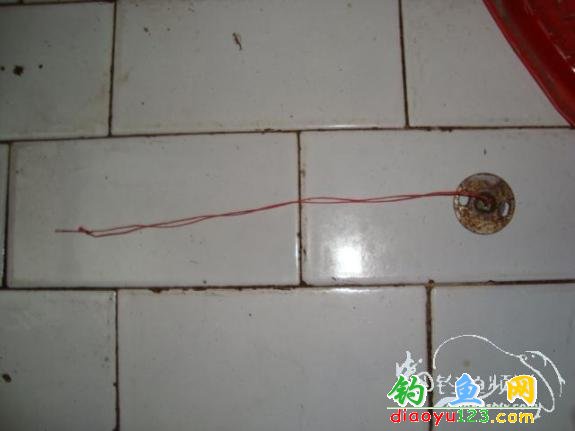 Bottom feeder with sinker and fishing line