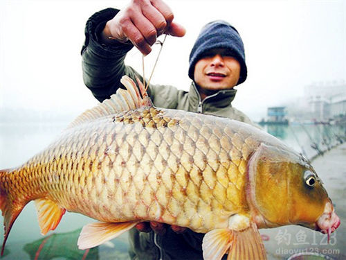 Spring Carp Fishing: How to Choose the Right Spot and Adjust Your Float for Success