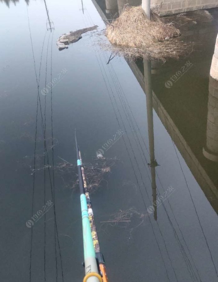 Weighted leader rig with split shot on the longer hook