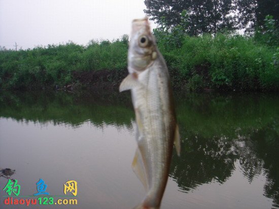 After Rain Reservoir Fishing Spot